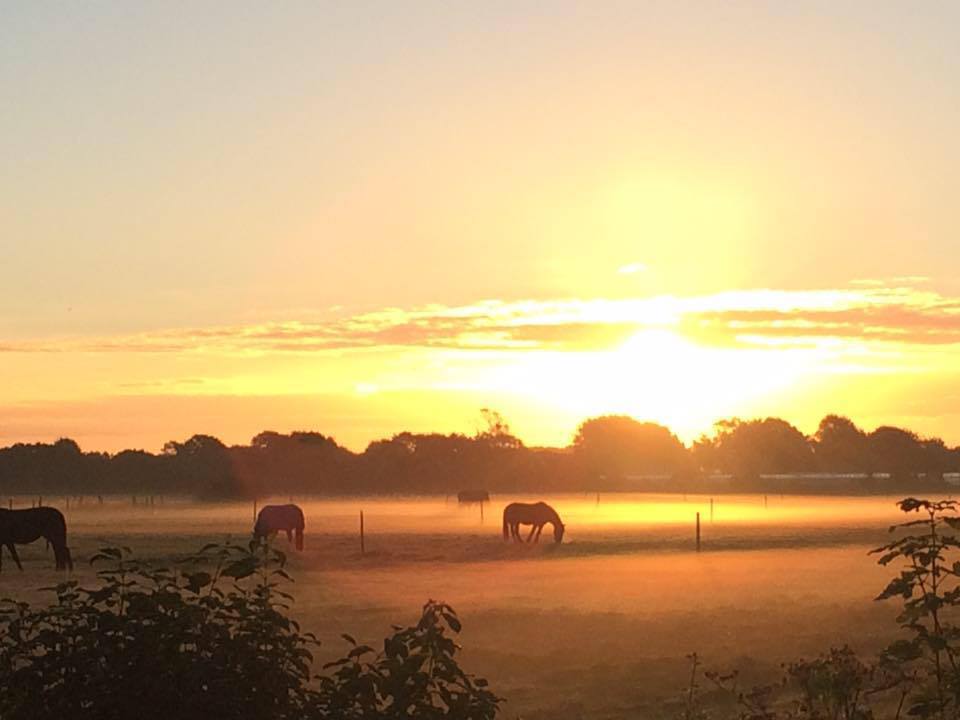 Monnington Equestrian