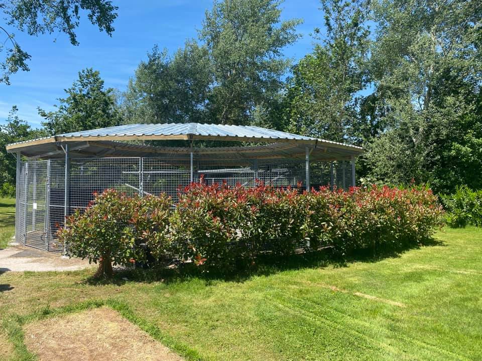 Moorhen Equestrian Centre