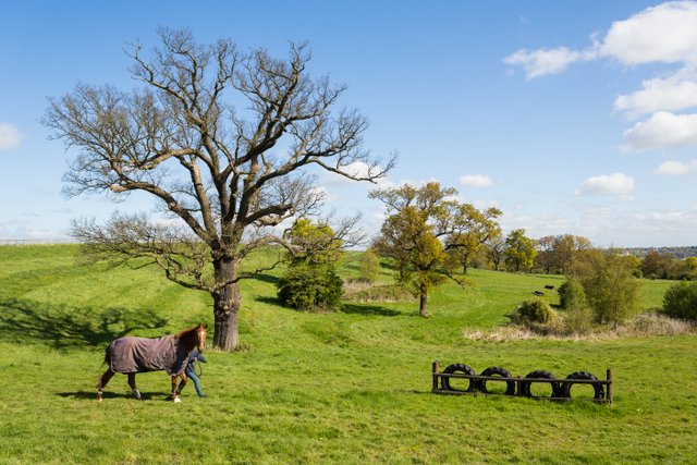 Mote End Farm Livery Stables