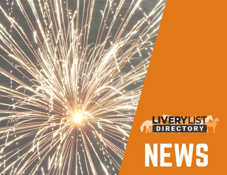 New Welfare Report Supporting Ban on Fireworks