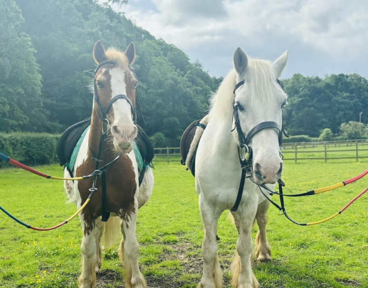 Mount Mascal Stables