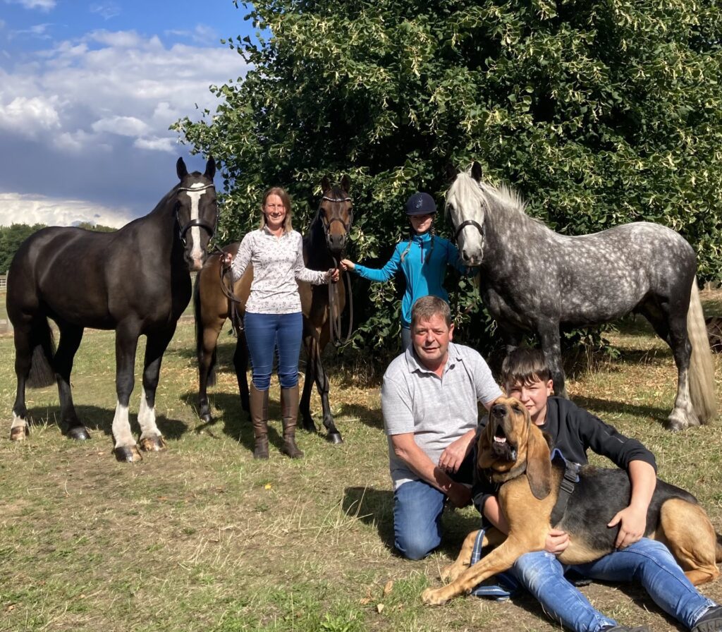 Mulberry House Farm Equestrian