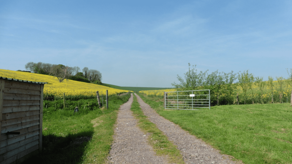 Muston Down Farm