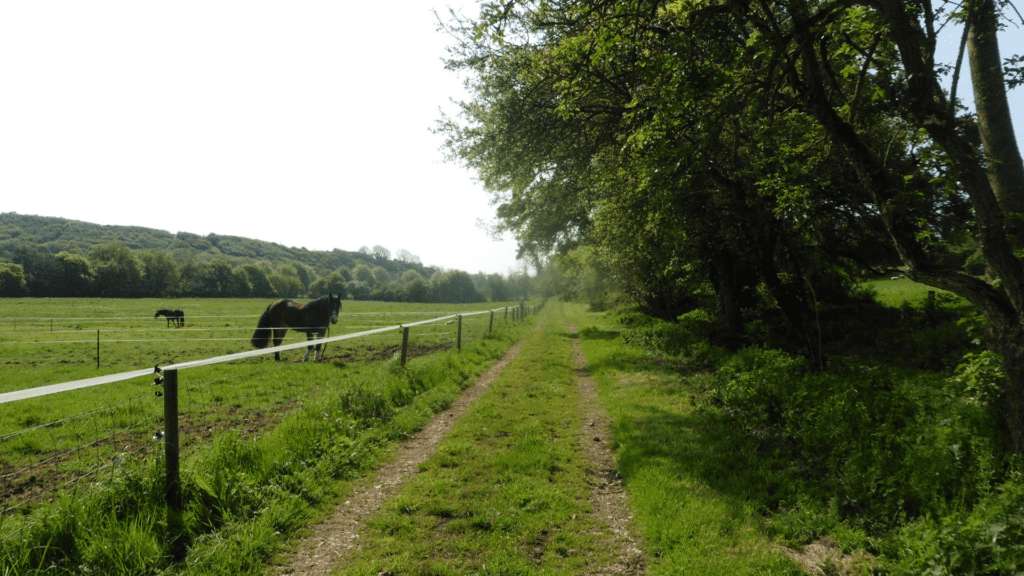 Muston Down Farm