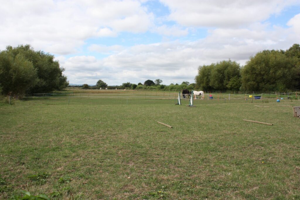 Myrtle Tree Farm Stables