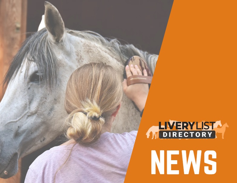 Livery Yard Owners Survey Reveals Significant Support for Yard Licensing