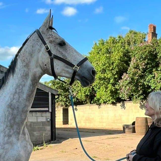 Newland Stables