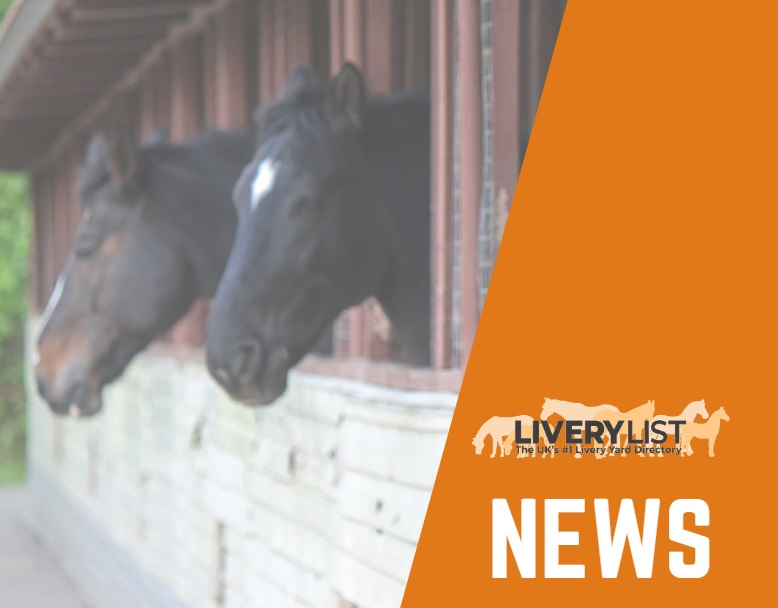 LiveryList Joins Forces with SEIB to De-Mystify Livery Yard Insurance