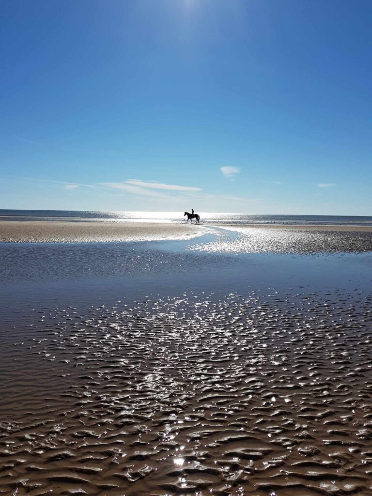 North Kingsfield Holiday Cottages