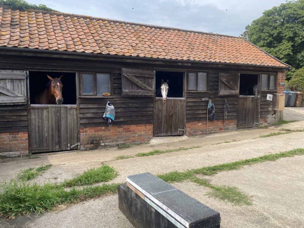 Oak Farm Livery – Full and Retirement Livery