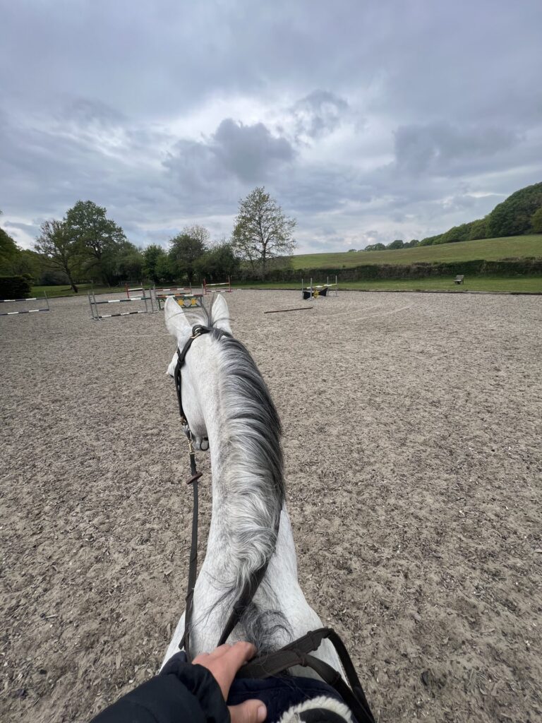 Huntingford Farm Stables