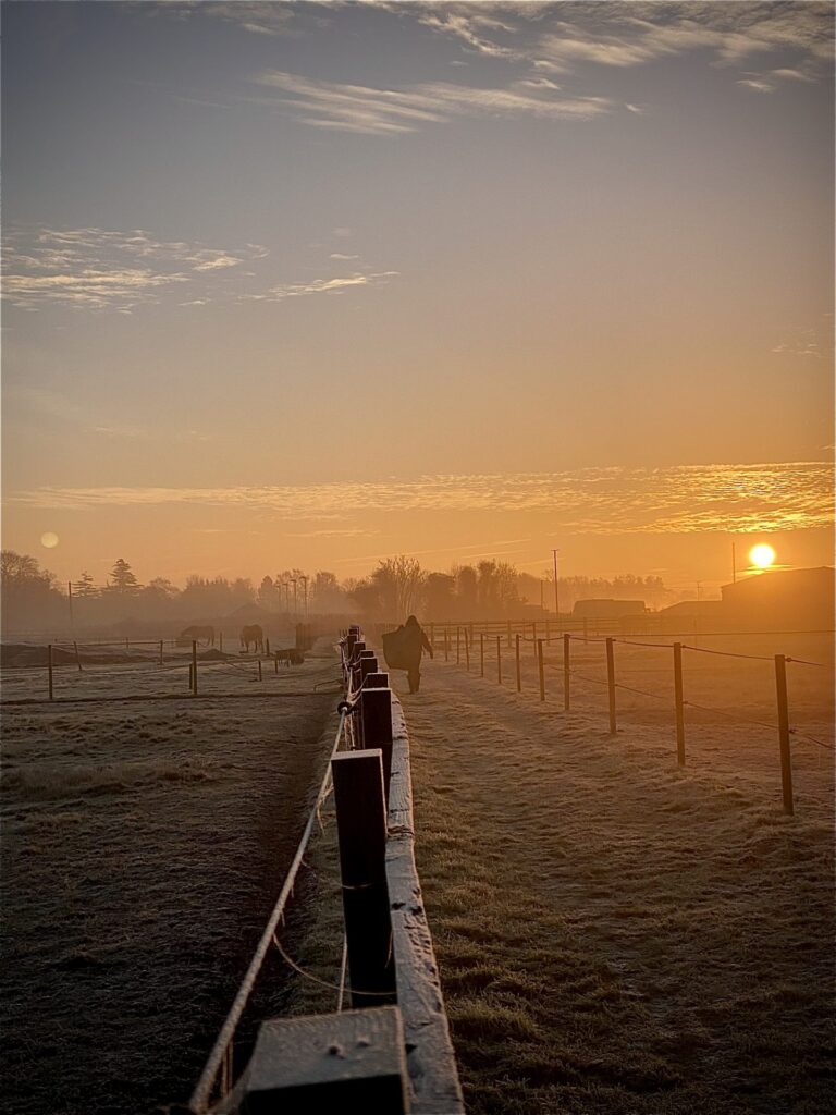 Orchard Stables