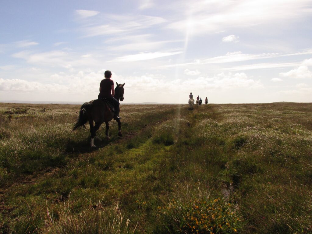 Penhalwyn Trekking Centre, School & Livery