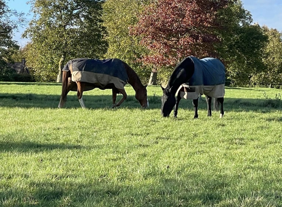 Place Farm Livery Stables