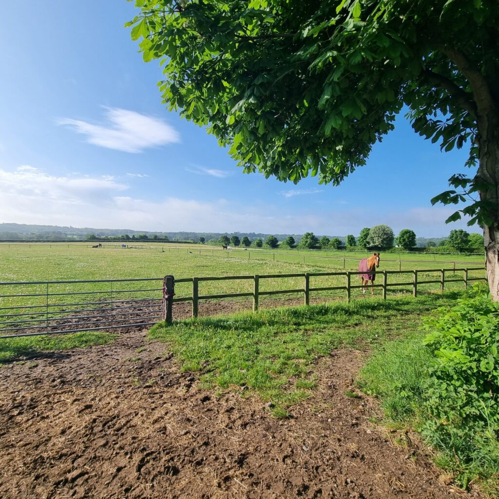 Pangfield Farm