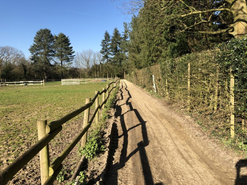 Pine Ridge Riding School, Livery and Pony Club