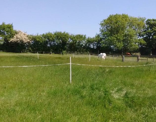 Red House Farm Livery Stables