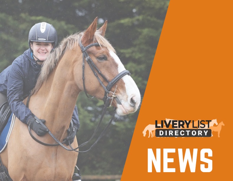 Redwings Announces Official Partnership with Equestrian Influencer Riding with Rhi