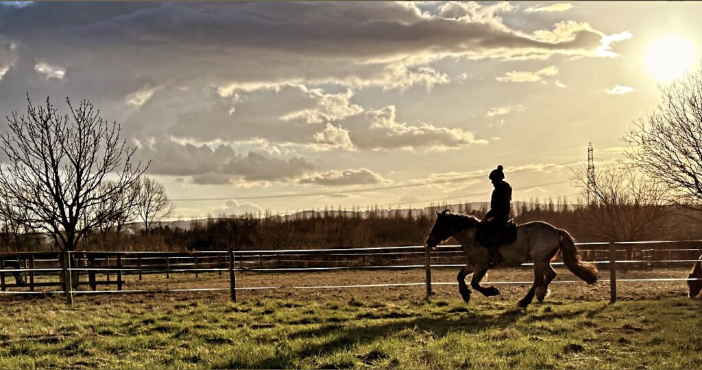 River View Equestrian