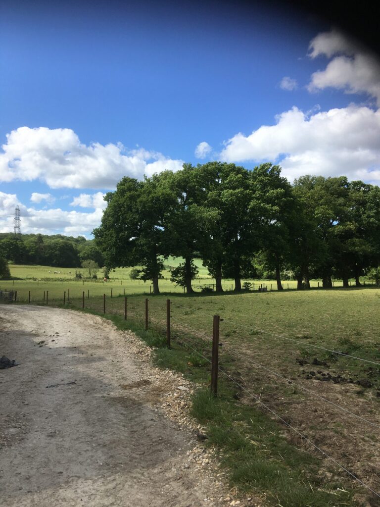 Rookery Farm