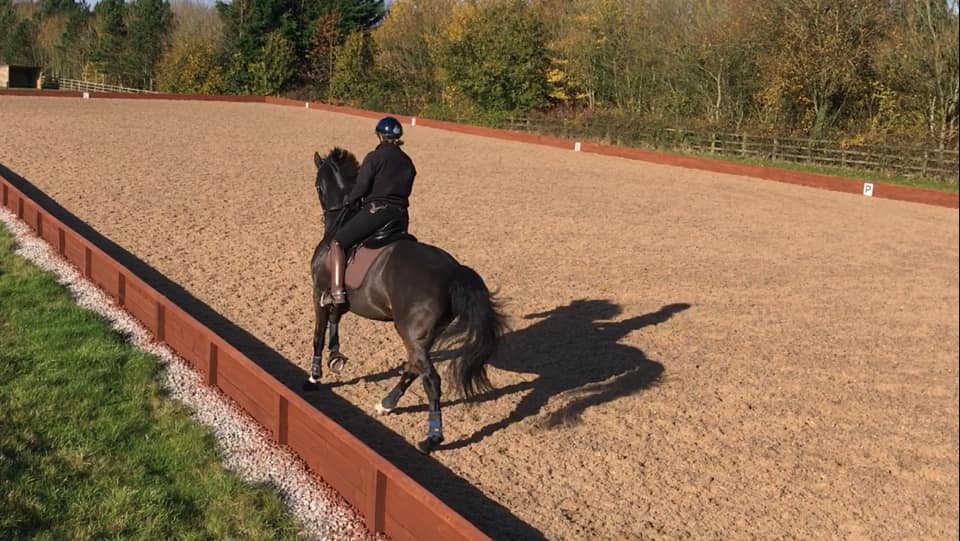 Bradley Road Stables- Warminster