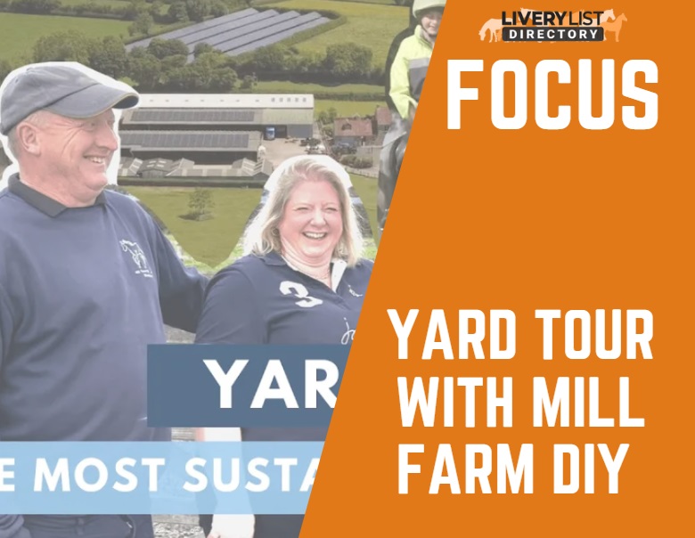 Sustainable Yard Ownership: Watch the SEIB Yard Tour with Mill Farm DIY Yard