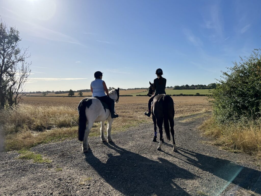 Seven River Equestrian