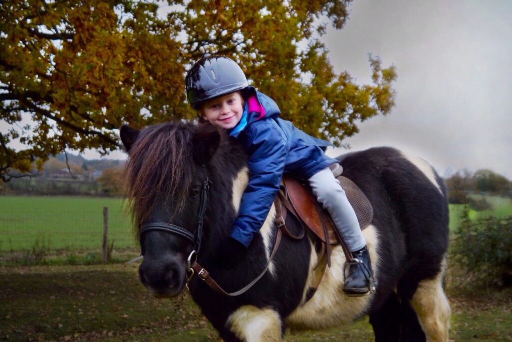 Shetland Pony Club