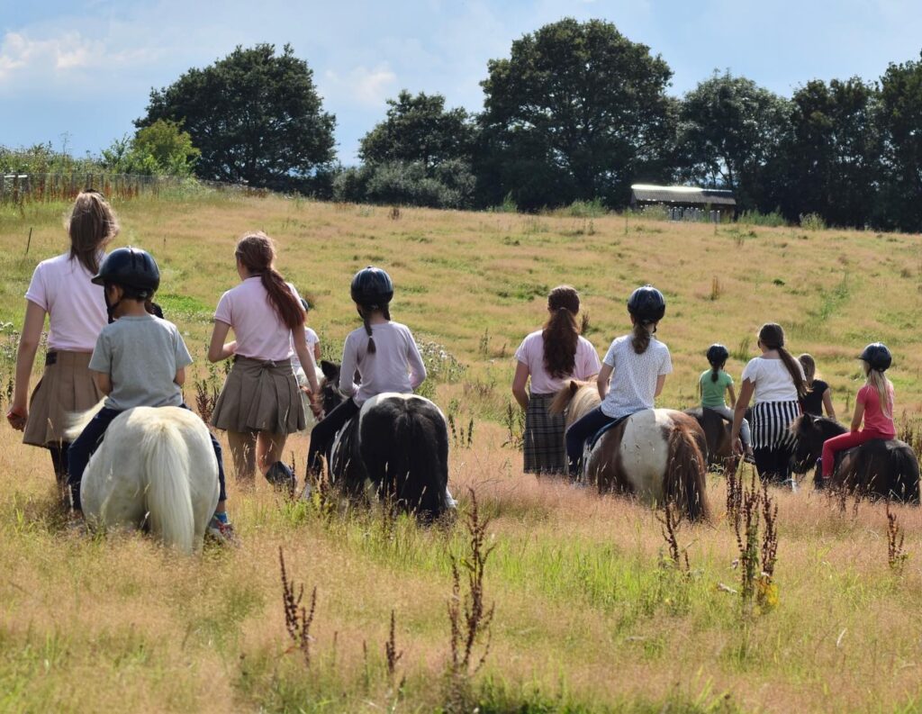 Shetland Pony Club