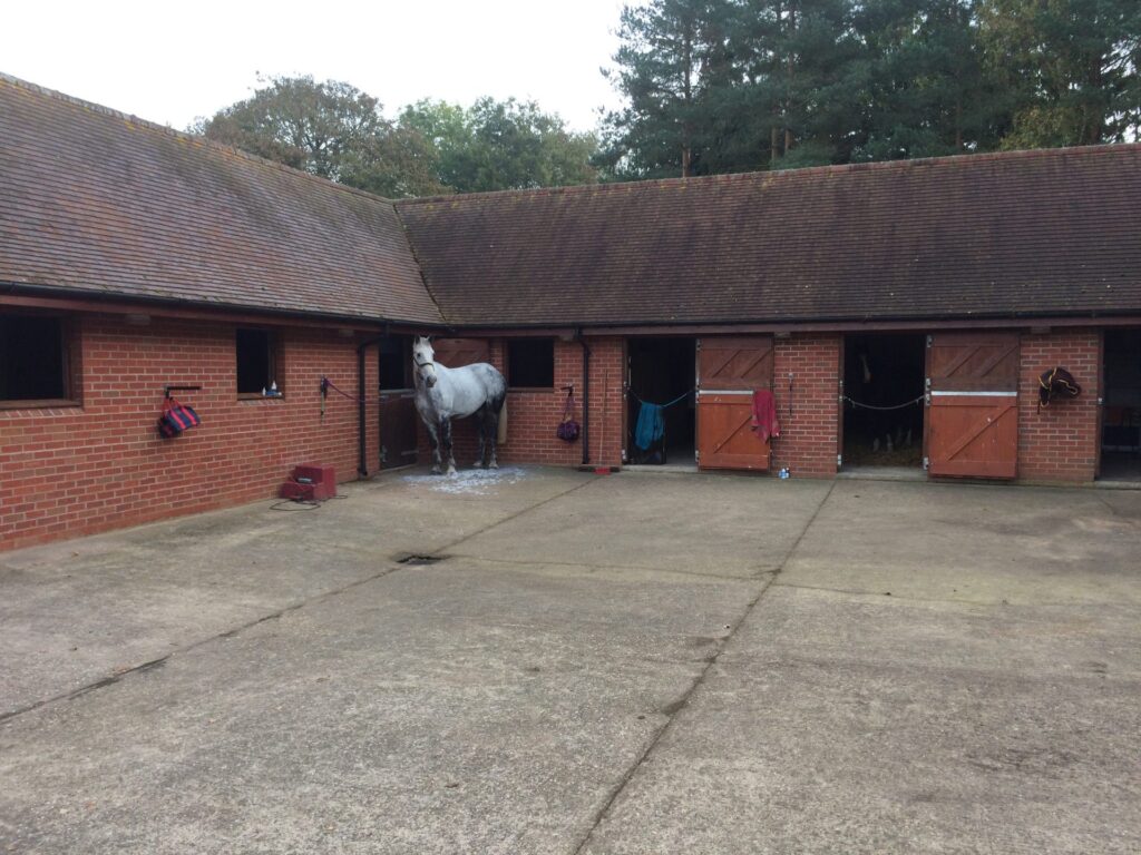Snowdon Farm Equestrian