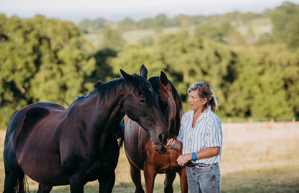 South West Equine Livery