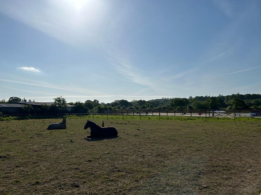 Strength & Learning Through Horses