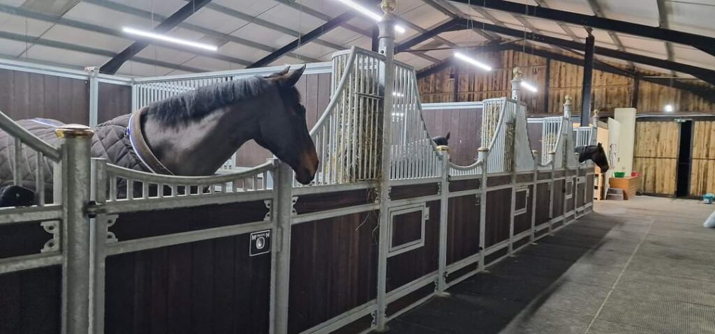 StrideOut Equestrian