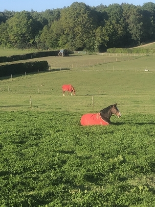 Swallows Oast Stables