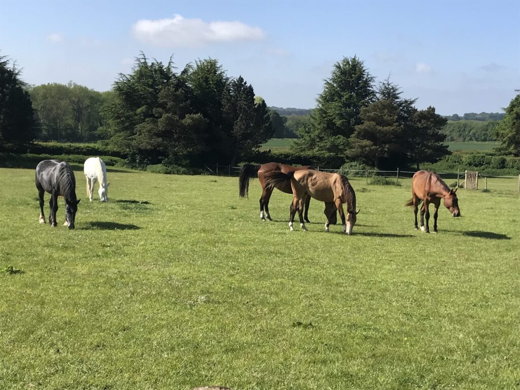 Tatsfield Court Stables