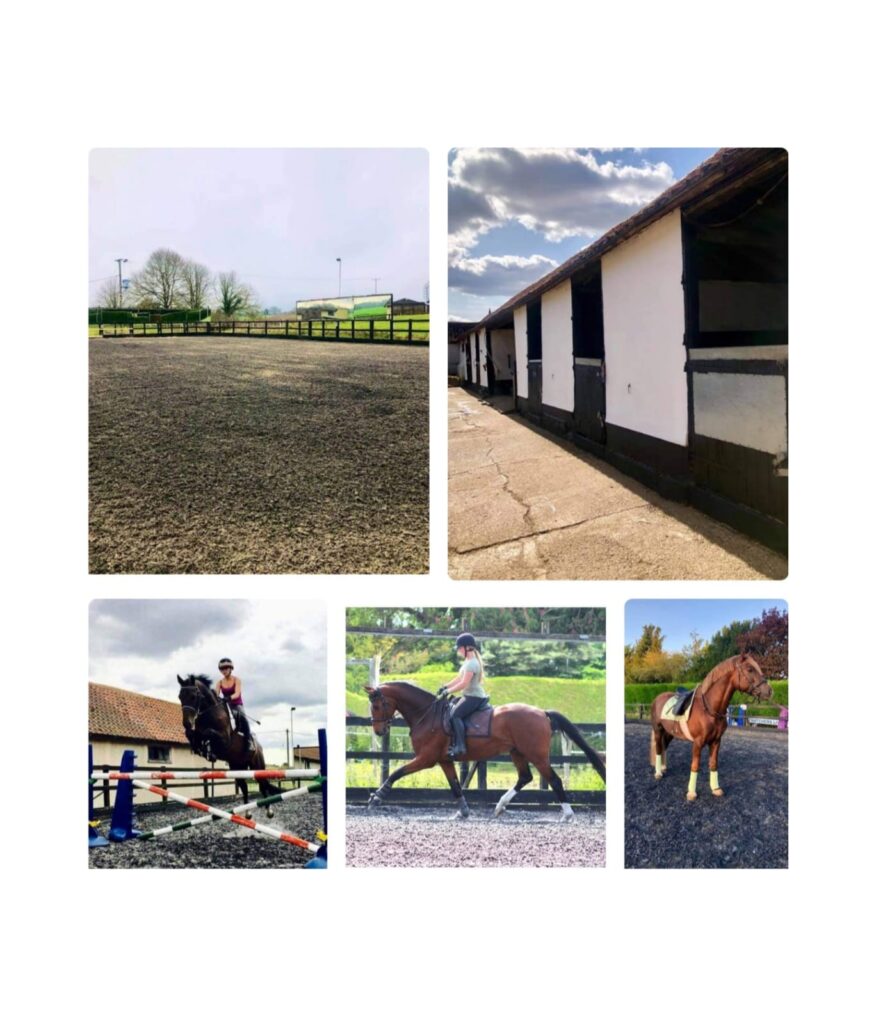 Thatchers Farm Equestrian