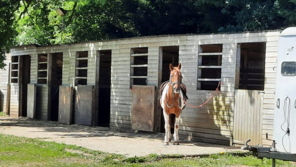 The Paddocks Stable Yard