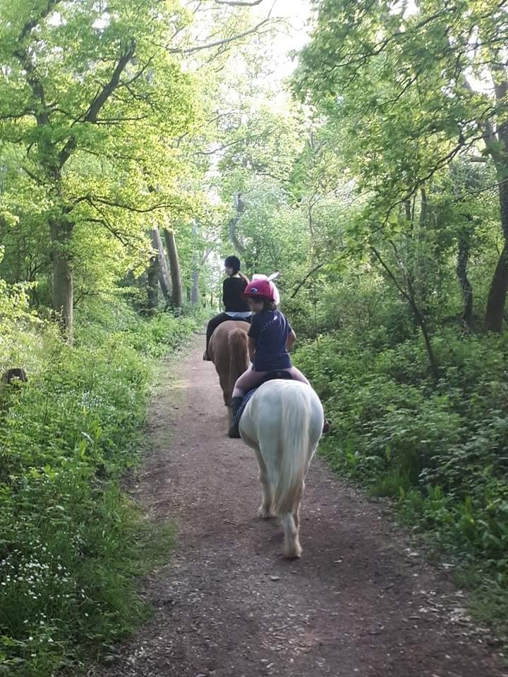 Tomsetts Farm Livery