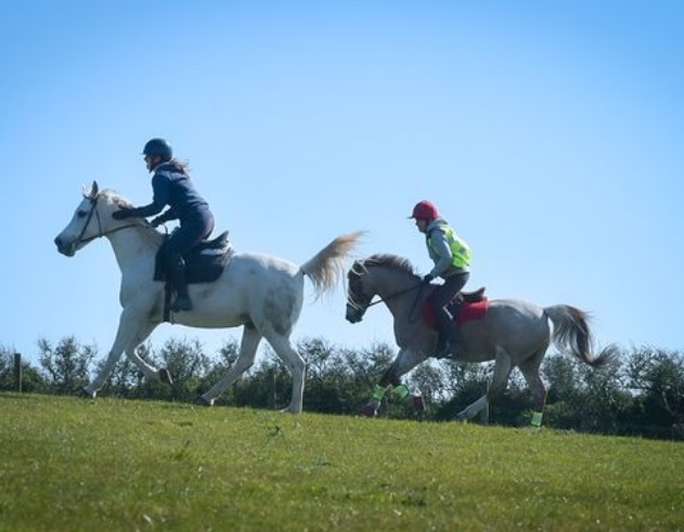 Tregonhawke Farm Livery