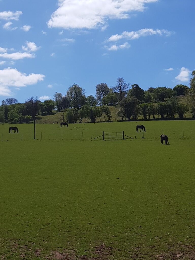 Tregoyd Mountain Riders