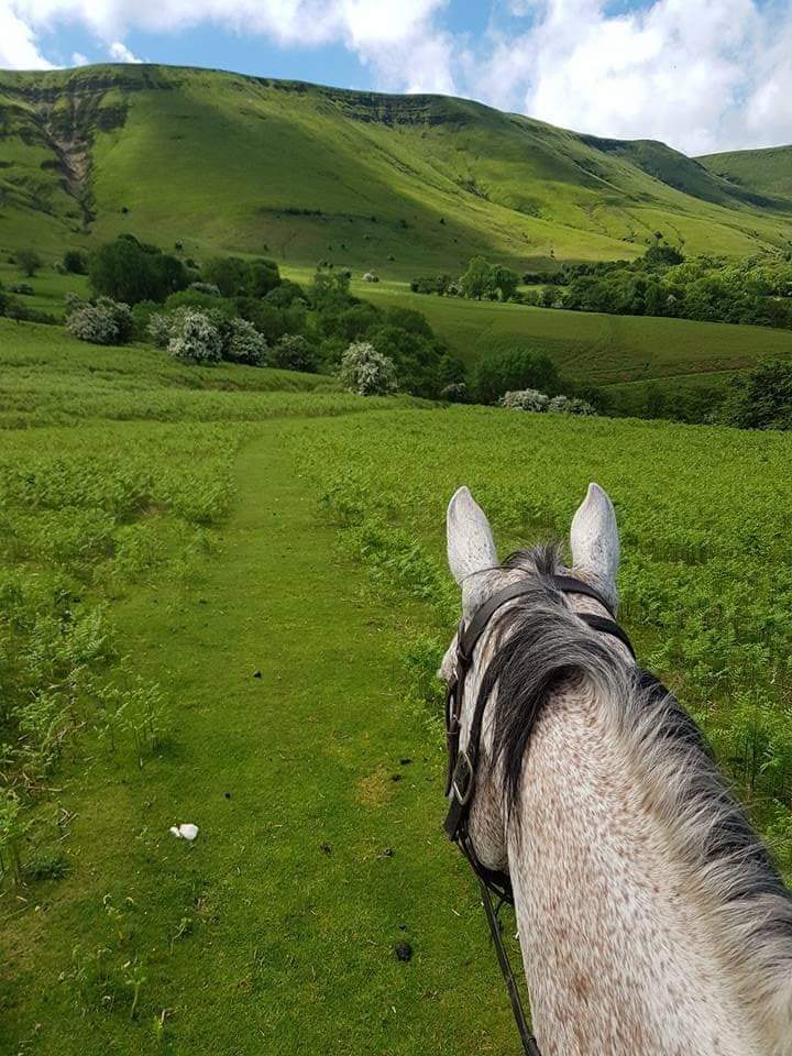 Tregoyd Mountain Riders