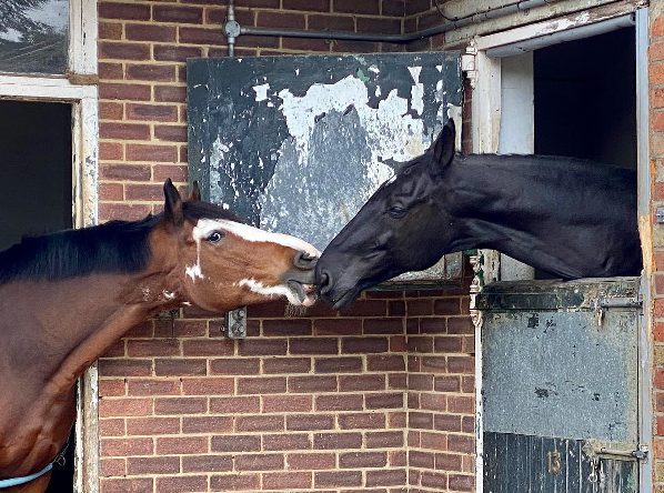 Woodruffe Stables