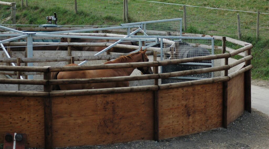 Warmwell Stud Stables