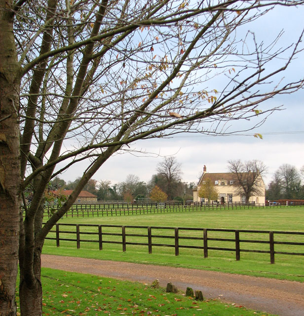 West Dereham Abbey Stud