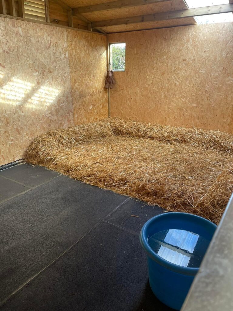 Wheaton Hill Stables