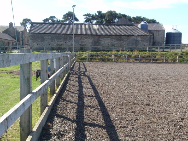 Whittonstall Hall Livery Yard
