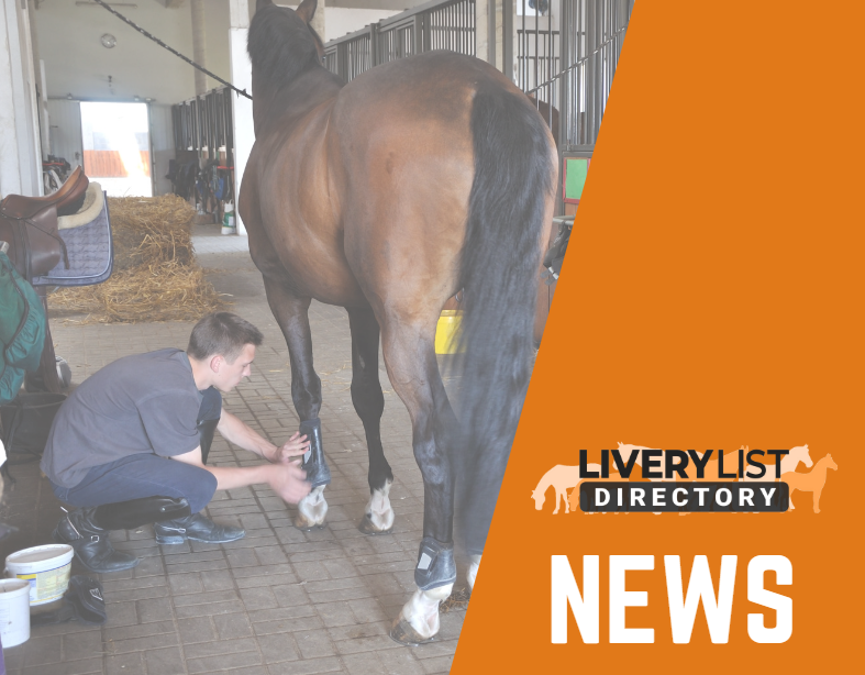 British Equestrian Launches New Employment Hub to Support the Industry Workforce