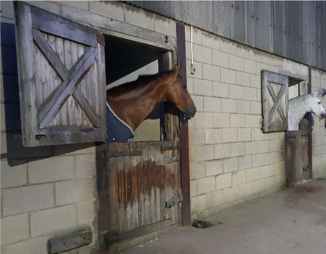 Crabtree Grange Farm Livery