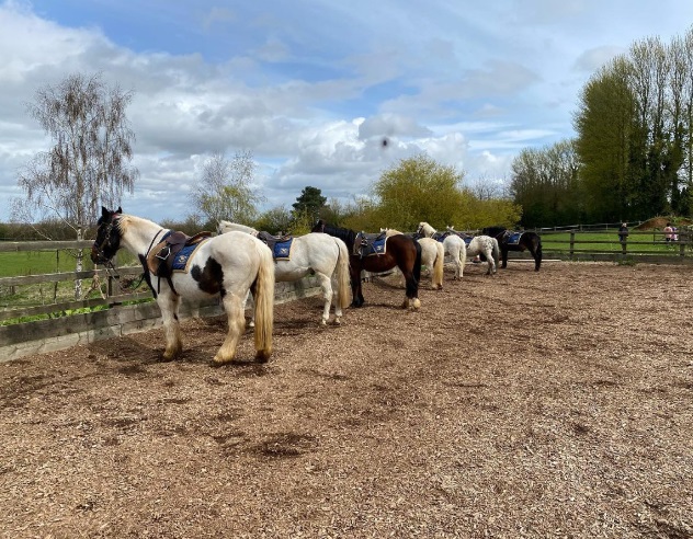 Turpins Lodge Riding Centre