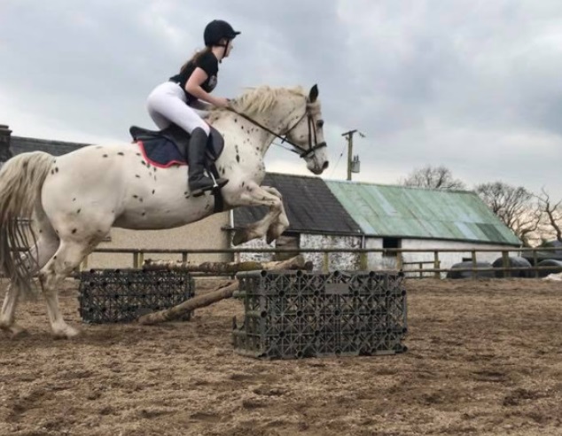 Pen Y Waun Livery Stables